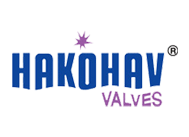 Компания Hakohav